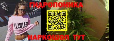 СК Ставрополь