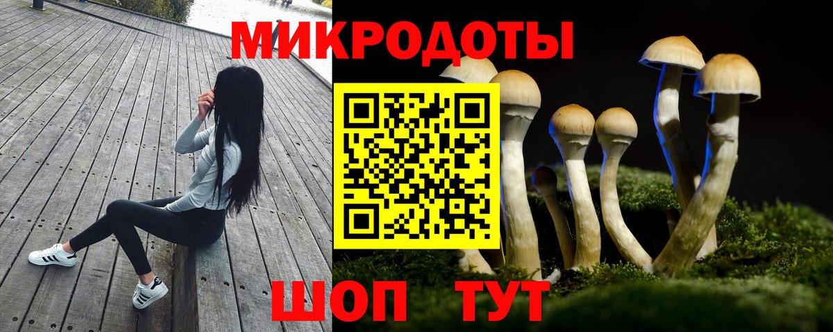 Большой Камень  Псилоцибиновые грибы мухоморы  Вход с VPN 