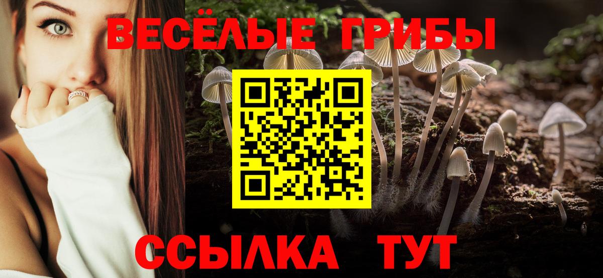 Псилоцибиновые грибы мухоморы Большой Камень